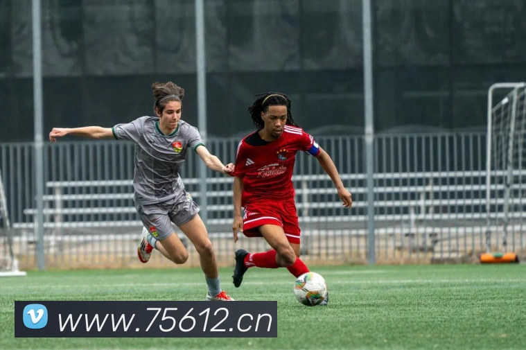 乐竞官方网站平台生态图